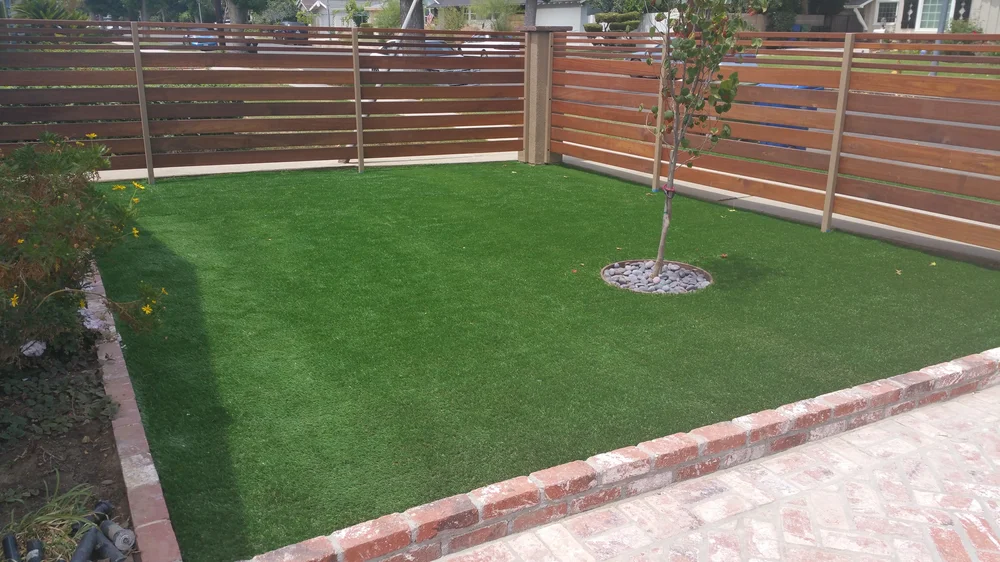 Turf yard with privacy fence