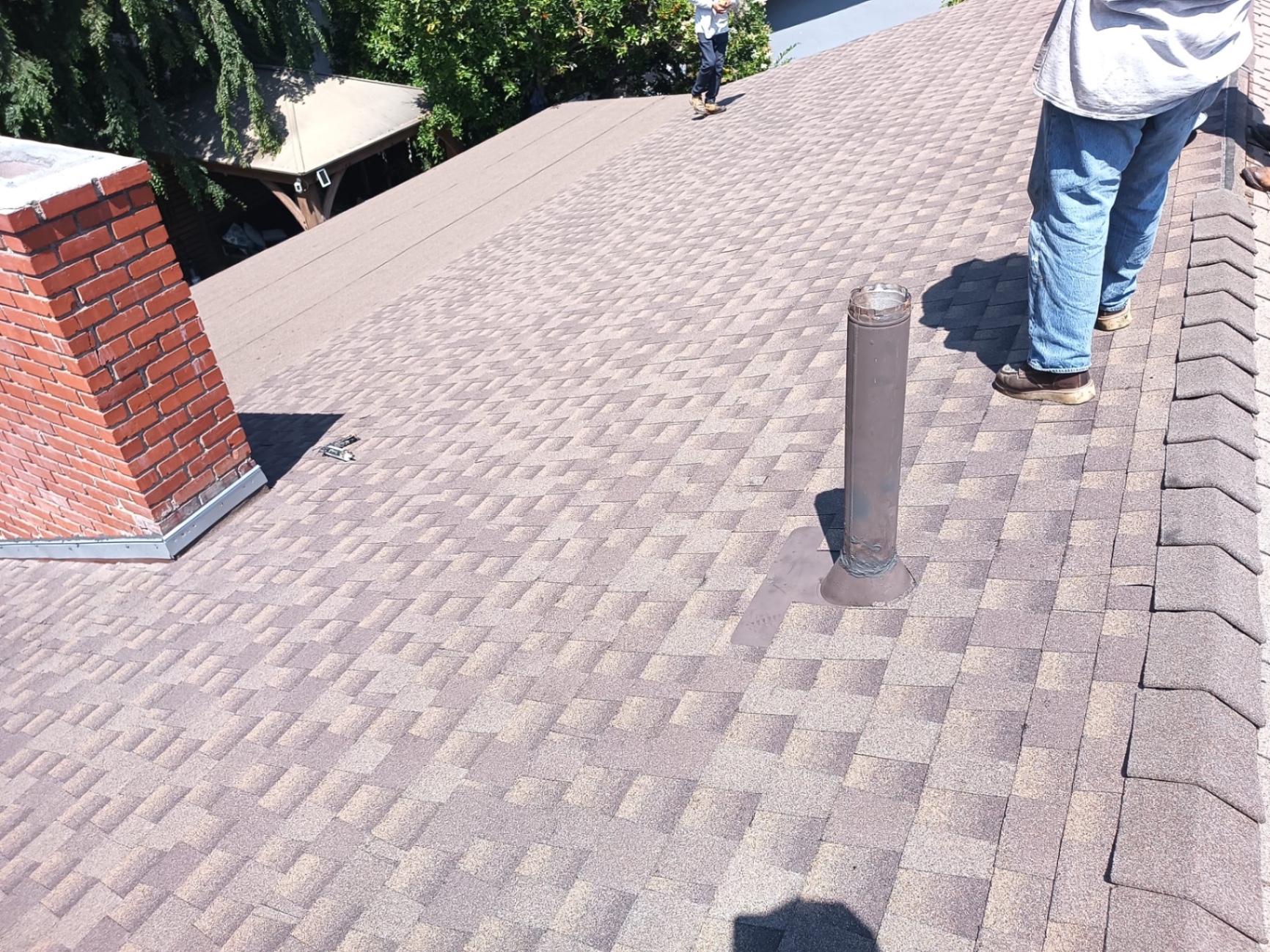 Crew on completed shingle install